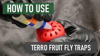 How to Use Terro Fruit Fly Traps [Get Rid of Fruit Flies Fast!]