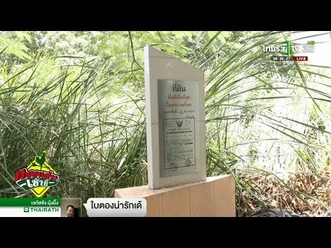 สมาชิกผ่าตัดลด วิธีการเพิ่มสมาชิก
