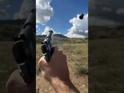 Springfield Armory XD-E: A Niche Within a Niche