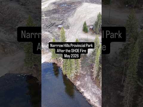 Narrow Hills Provincial Park after the Shoe Fire