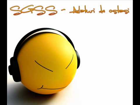 SGSS - Alaturi de ostasi