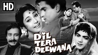 Dil Tera Deewana Full Movie | Shammi Kapoor Old Hindi Movie | Mala Sinha Old Movie|English Subtitles