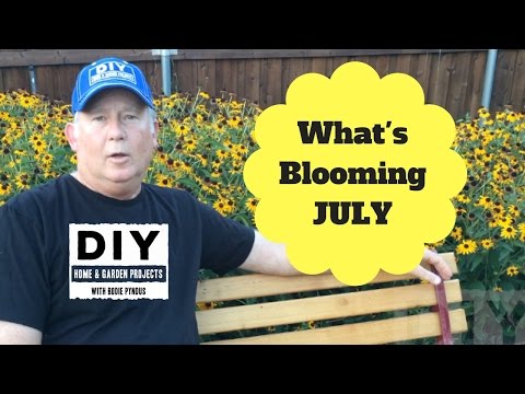 What's Blooming July