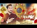Qasida - Mola Menu Ve Ghar Day Utay Alam Howay - Shahroz Ali Shazi - 2018 | New Qasida video download