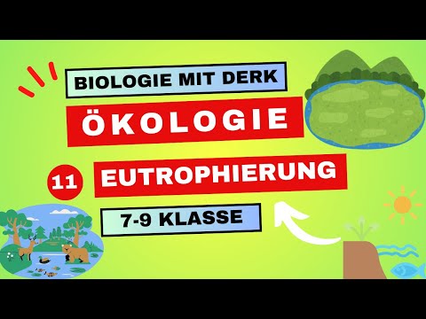 Ökologie | 11 | Eutrophierung: Überdüngung eines Sees