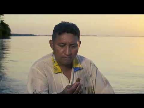 Tema 2019 " Um Canto de Esperança para Mátria Brasilis"