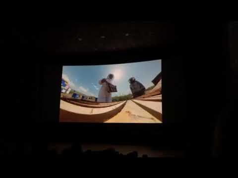 ՍԴ նախկին նախագահը մեղվահասարակության մասին ֆիլմ է նկարել