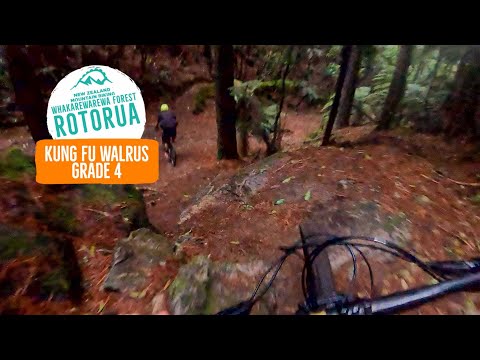 Techy, fast, and away from the crowds - Kung Fu Walrus, Rotorua