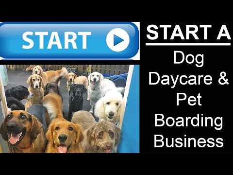 Start A Dog Day Care and Pet Boarding Business