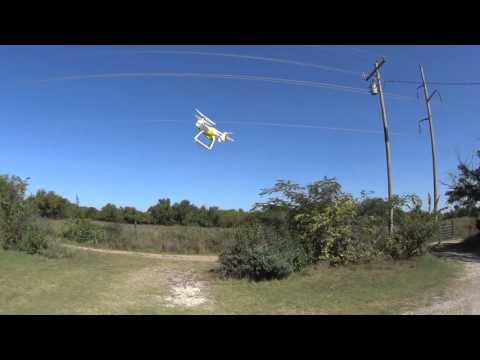 Moldy gets a functional brain