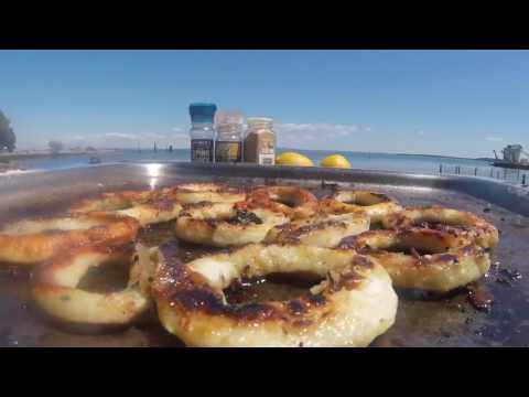 [MeredithWolfe] SQUID, BREAM and STINGRAY - Catch n Cook - Fishing with DYLAN!