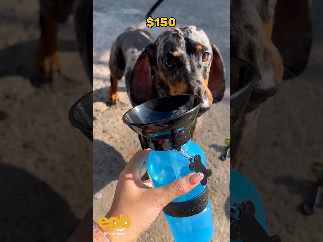 Vídeo relacionado con Cuenco Colgante para Jaula, 2 en 1 Extraíble Inoxidable Comedero, Platos Bebedero Alimentación, Cuencos Agua para Perrito, Gato, Conejo, Hurones, Pájaros, Hamster (Verde)