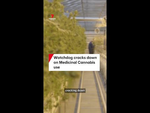 Watchdog cracks down on Medicinal Cannabis use