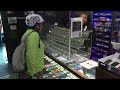 US poised to ease restrictions on marijuana, which could help cannabis industry - Video