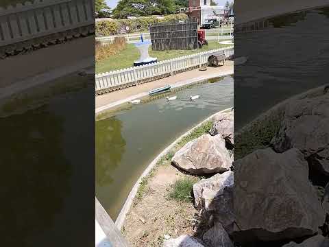 fazenda suíça#bangkokthailand #thailand #shortsvideo #petchkasem #petchburi #cha-am #video #sheep