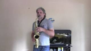 Why Me Lord (cover - Kris Kristofferson)(saxoaltoetienne)