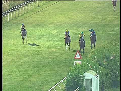 Galoppo 23/08/2017 - 6ª corsa