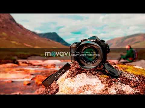 Diviners, Bright Sparks - Gimme What I Want