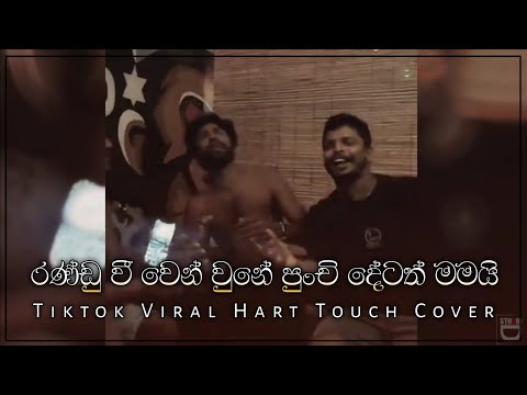 රණ්ඩු වී වෙන්වුනේ | Randu Wee Wen wune Tiktok Viral Hart Touch Cover