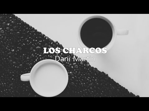 Los charcos - Dani Martin (Lyrics)