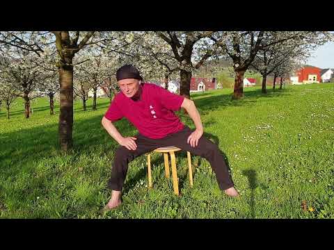 Ba Duan Jin (Baduanjin),  Qigong,  Die 8 Brokatübungen, Übung 5 im Sitzen,   Eight Pieces of Brocade