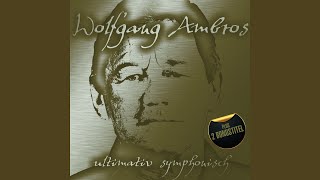 Die Blume aus dem Gemeindebau