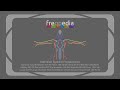 Healing Frequencies of all Meridians in Chinese Medicine