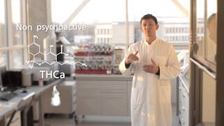 About CBDa (ov) - Endoca.com