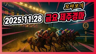 2025년 11월 28일 금요 제주경마 전체경주 모아보기