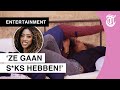 ‘Stoute Temptation-Karina is héél wat van plan’