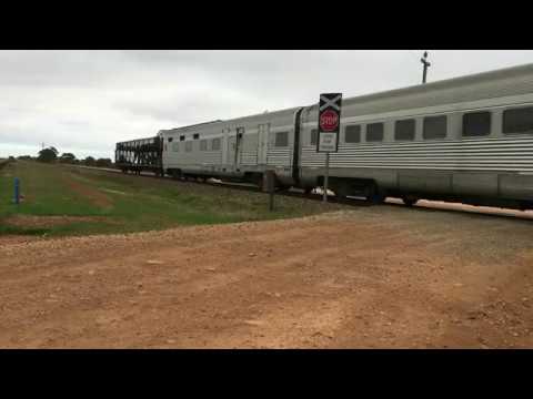 Various trains around Adelaide