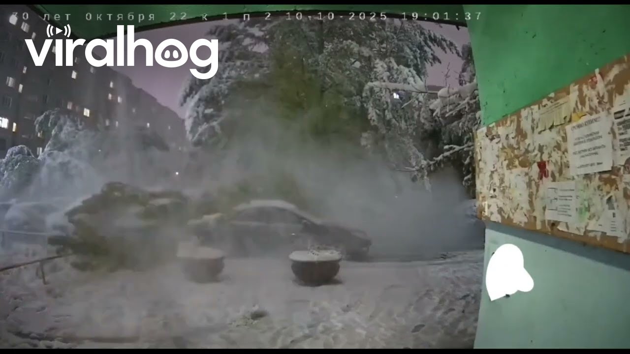 Tree Collapses Onto Parked Cars in Freezing Rain || ViralHog
