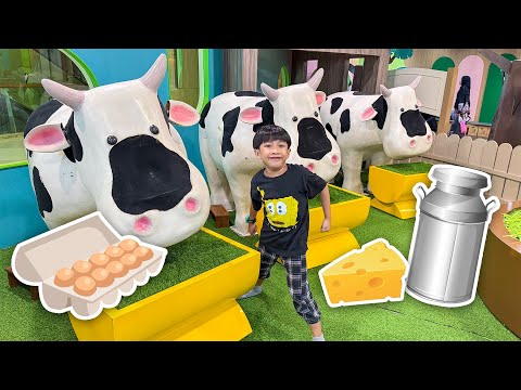 Kyo Menjadi Petani di Youreka Kids Farm