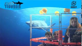 DIA 2 Expo Tiburon134