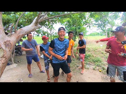 EP357-Part 1 - Surprise Cooking Competition | Pagluto sa mga huling Isda | Occ. Mindoro