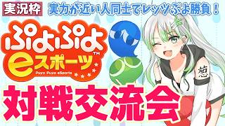 【 ぷよスポ 】誰でも参加OK！対戦交流会(実況枠)　Switch版【 ぷよぷよeスポーツ 】