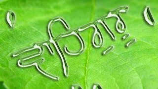 Download lagu Satnam shri waheguru | good morning with beautiful video | whatsapp status video | by royal feel mp3