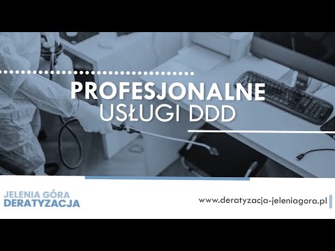 Zobacz filmy, Leader ZPHU Mirosław Jackowski, Jelenia Góra