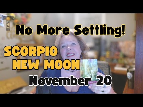 SCORPIO NEW MOON: The DAY We STOP Betraying Ourselves - NOVEMBER 20 - DAILY HOROSCOPE🐦‍🔥 all signs