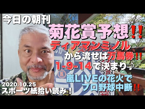 【コニタン新聞】菊花賞また当てるか⁉️嵐謝罪⁉️コニタン今日の言いたい放題‼️スポニチ2020.10.25🍊