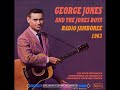 George Jones - I'd Still Want You