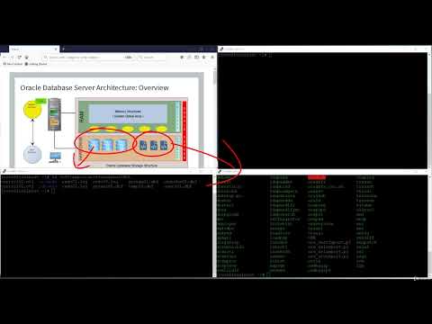 001. Oracle Database Server Architecture Basics.