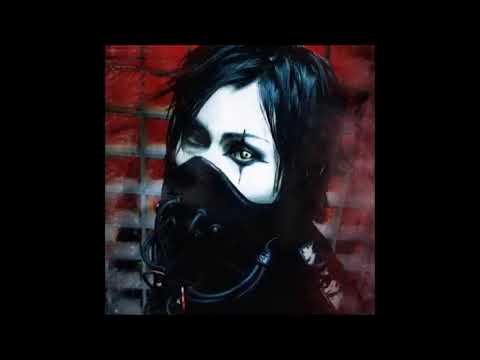 Markus Kovacs - Flying Pigs or Miraculix 😂