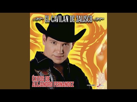 (Alejandro Fernandez) Si He Sabido Amor - Tv Y Novelas 4