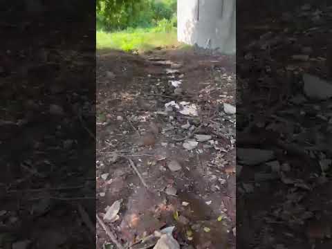 ABSURDO: Moradores em Palmas de Monte Alto precisa de urgência em limpeza de terreno abandonado