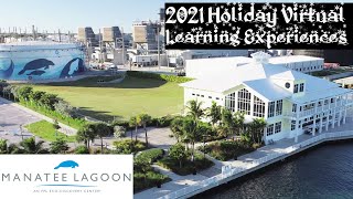 Discover New Worlds Underwater at the Manatee Lagoon   Holiday Virtual Learning Experience