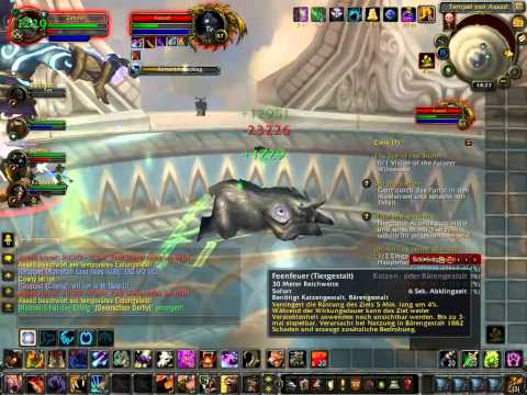 Der Vortexgipfel Heroisch Boss 3