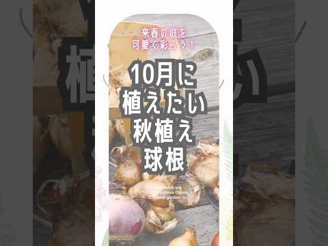 耐寒性の芳香植物：秋に植えたい代表的な植物  庭園