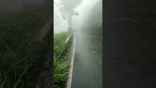 Download lagu Pagi menyapa kembali. #penampakan #pemandangan #suasana #hujan #berkabut #pagihari mp3
