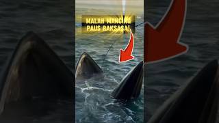 Download lagu Umpan Masuk Mulut PAUS RAKSASA! Tapi Lihat Reaksi Pemancing Ini... Gila Banget! #mancing #shorts mp3